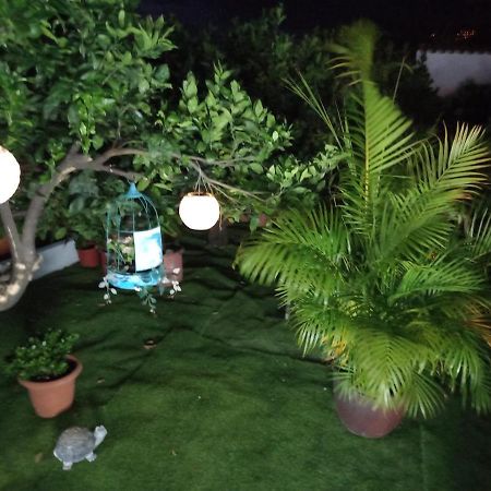 Ferienwohnung Casa Nine Con Piscina Vacacional La Palma Breña Baja Exterior foto