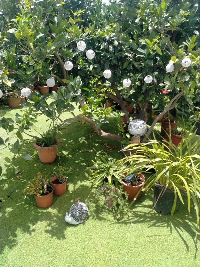 Ferienwohnung Casa Nine Con Piscina Vacacional La Palma Breña Baja Exterior foto